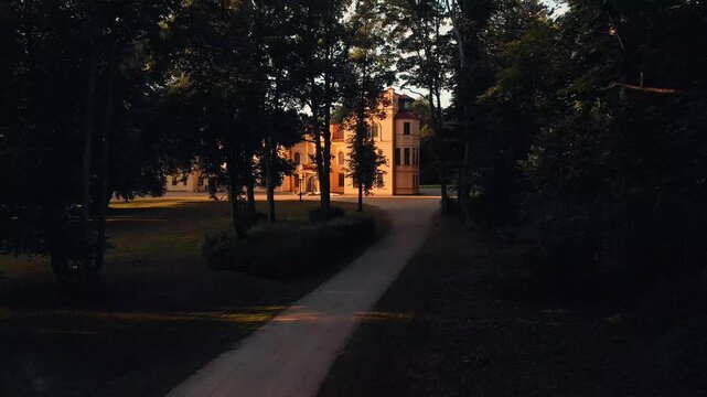 sunset in the park