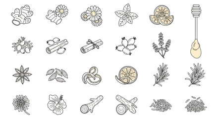 Collection of herbal and floral illustrations with honey. © Malikmagak