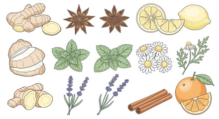 A collection of various herbs and spices. © Malikmagak