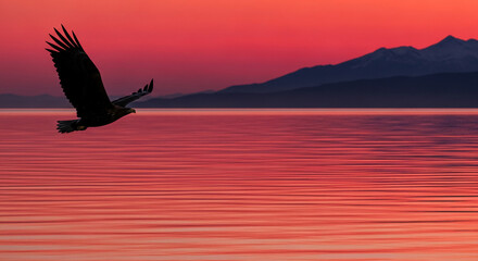 Fototapeta premium Silhouette of a large bird of prey in flight against a vibrant coral sky with silhouetted mountains and reflective water, symbolizing freedom and wildness