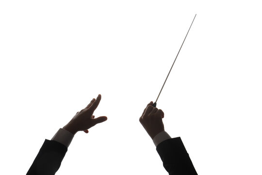 Silhouette of male conductors hands on white background