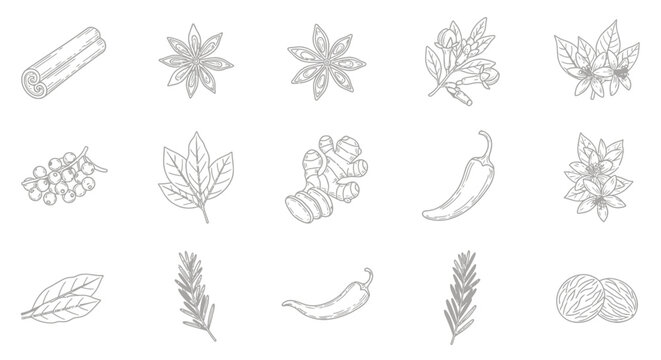 A collection of various spice and herb line drawings.