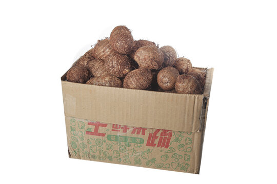 Fresh Taro Roots in Cardboard Box from Shandong China Studio Food Photography