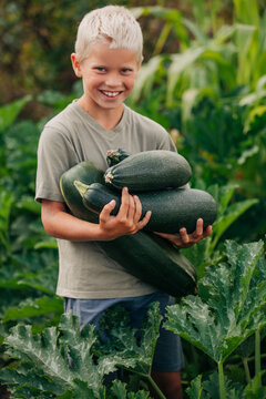 Smiling boy holding zucchini harvest in summer garden