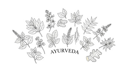 Obraz premium Ayurveda herbal illustration with various leaves.