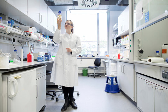 Young female scientist working at biological laboratory inspecting samples