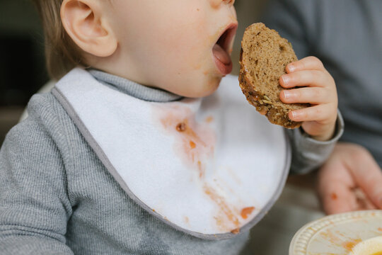 Baby boy with messy bib eating bread at home