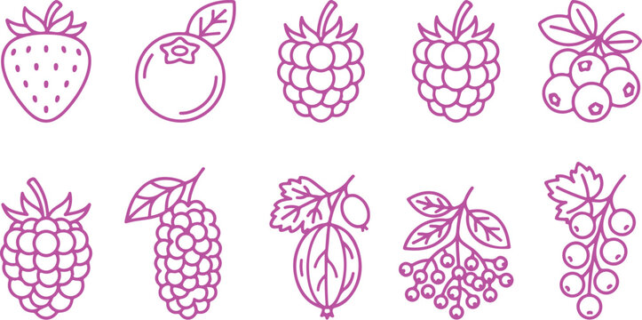 Berry Fruit Outline Icon Pack