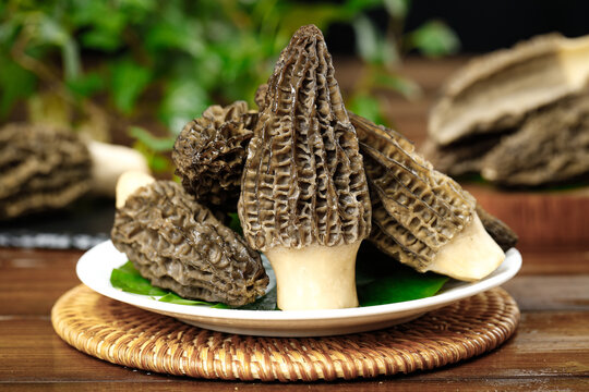 Fresh Morel Mushrooms on Plate - Gourmet Edible Fungi with Distinctive Honeycomb Pattern