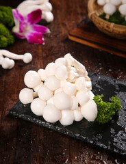 Fresh White Edible Mushrooms on Slate Plate - Yunnan Jade Category Asian Cuisine Ingredient © QuangVinh