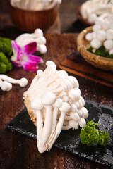Fresh White Yunnan Mushrooms on Slate Board - High Quality Edible Asian Cuisine Ingredients © QuangVinh