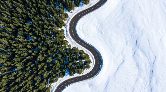 Winding asphalt road cutting through a lush green pine forest and vast snowy white landscape