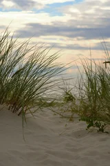 Fotobehang Duinen Grass on the beach by the sea in summer  © Violetta Korolkova 