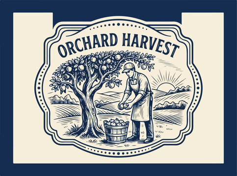 Man Harvesting Apples in Orchard.