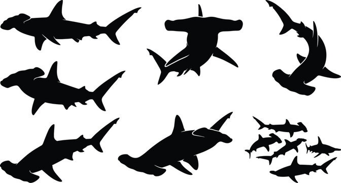 Hammerhead Shark Silhouette Icon Set with Swimming, Diving, and School of Fish Poses for Ocean and Marine Design Projects