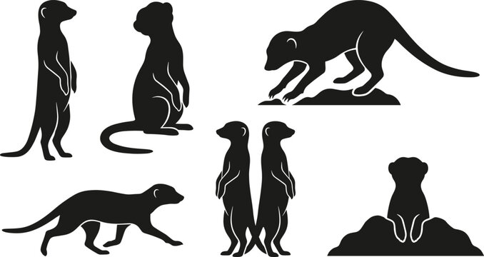 Meerkat Silhouette Icon Set with Standing, Walking, Digging, and Pair Watching Poses for Wildlife and Animal Design Projects