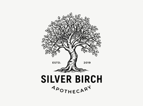 Silver Birch Apothecary Tree Logo Design.