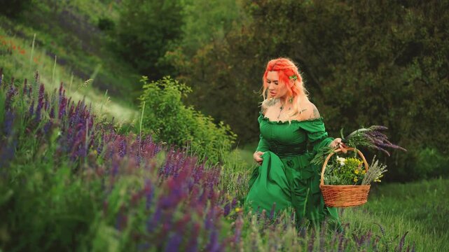 fantasy woman healer gathers medicinal herbs flowers sage, druid collect herb for essential oil. fairy elf girl herbalist green victorian dress, walking in forest meadow hill summer nature grass trees