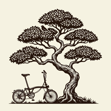 Tree with bicycle parked beside trunk.