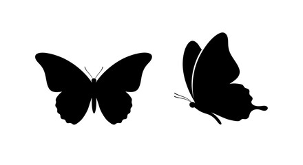 Two Black Butterfly Silhouettes Against A White Background Silhouette © MDHANZALA