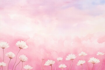Fototapeta premium Background daisy sky backgrounds outdoors.