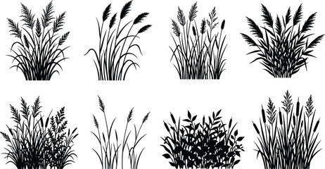 Set of professional wild grass, reeds, and marsh plant silhouettes for nature, landscape, and environmental design projects © MdSaiful