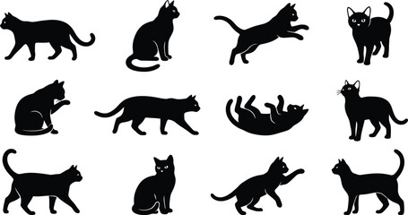 Cats in various poses are depicted as a collection of black silhouettes illustrating different feline behaviors. © Adam