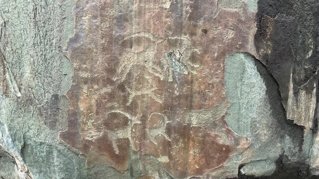 Close up of ancient Kalbak Tash petroglyphs in Ongudaysky District, Republic of Altai, Russia