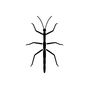 Stick Insect Icon