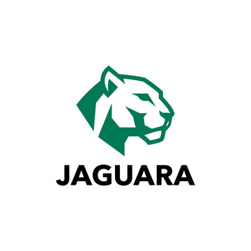 Green Jaguar Head Logo Design.