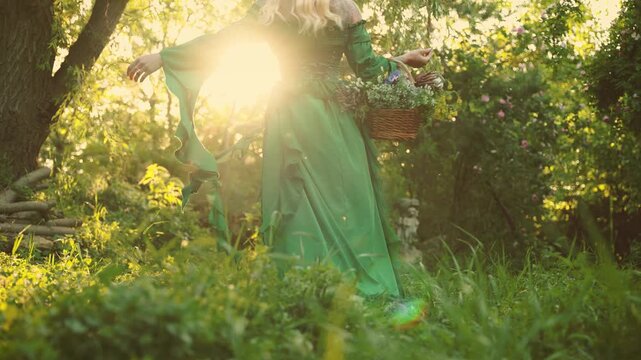 Silhouette woman healer holds basket herbs flowers for essential oil. fairy tale elf girl herbalist green victorian dress, back view walking in sun rays magic light forest summer nature grass trees