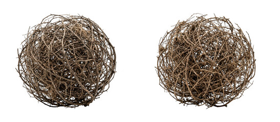 Two spherical balls made of dry tangled plant roots isolated on transparent background