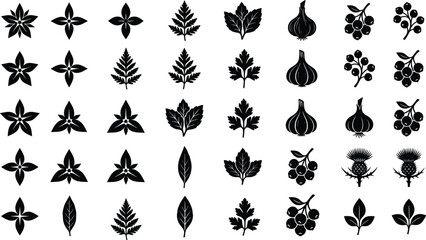 Collection of black botanical silhouettes vector icons including various leaves flowers garlic bulbs berries ferns and thistles isolated © MSTRAZINA