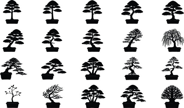 Collection of traditional Japanese bonsai tree silhouettes in ceramic pots isolated on a plain white background vector