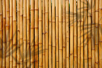 Fototapeta premium Natural yellow bamboo fence texture background with tropical palm leaves shadow overlay. Exotic wooden sticks wall backdrop for organic product display mockup, spa, and summer banner.