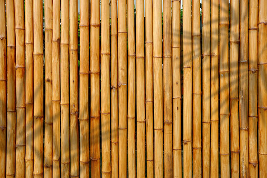 Natural yellow bamboo fence texture background with tropical palm leaves shadow overlay. Exotic wooden sticks wall backdrop for organic product display mockup, spa, and summer banner.