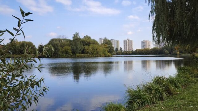 Bushes and willow trees with branches bent over the calm water grow on the grassy shore of the lake. Further on there are residential buildings and trees with yellowed leaves. Sunny autumn weather
