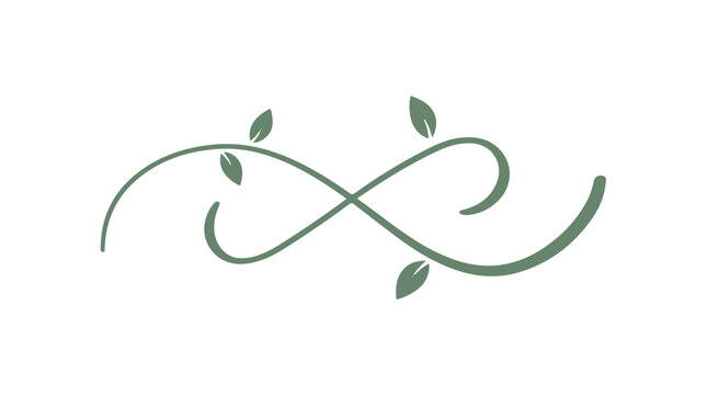 Green leafy vine twig with leaves on white background  symbol of nature and growth