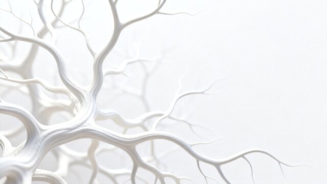 White abstract tree branches