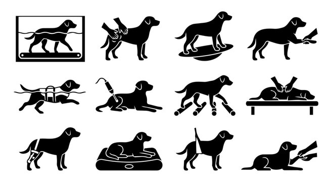 Dog Physiotherapy and Canine Rehabilitation Silhouette Icon Set with Hydrotherapy Massage Laser Therapy and Recovery