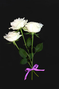 White rose flower bouquet for memorial tribute on dark gray background. Floral design for funeral invitation and in sympathy card.
