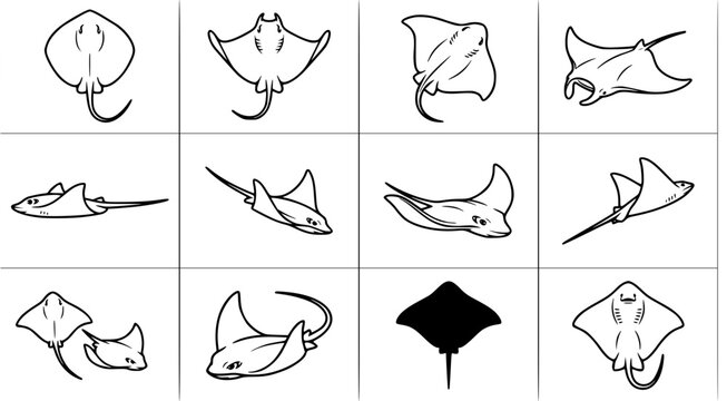Collection of twelve stingray silhouettes and line art icons in various swimming poses for marine biology design projects or underwater wildlife education on white background