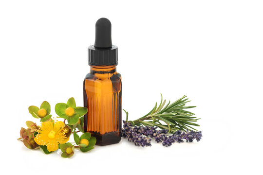 Lavender, rosemary, St Johns Wort herbs used in herbal medicine, treats depression, tincture bottle on white. Natural healing for depressed states of mind.  