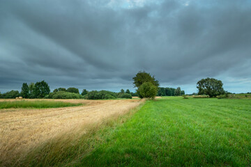 Fototapeta premium Rural landscape with fields on a cloudy day