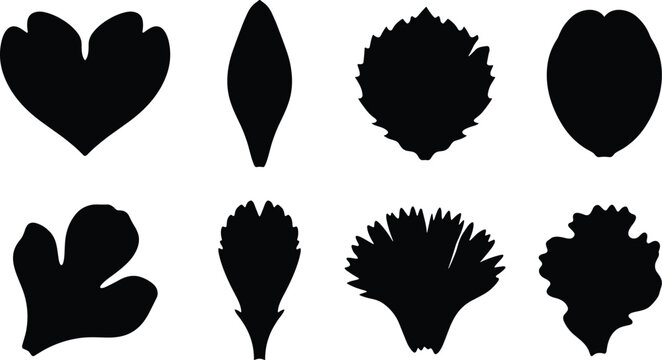 Flower petal vector silhouette set featuring diverse botanical shapes including serrated fringed heart shaped and rounded bloom elements