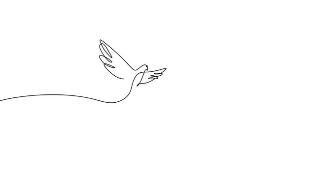 Doves Flying Modern Continuous Line Art Animation For Peace And Unity Concept