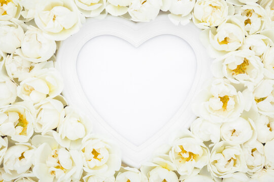 Heart shape frame and fresh beautiful white rose head flowers. Love concept. Closeup. Empty place for text on white table background. Flat lay. Top down view.