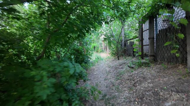 Walking down the scenic dirt path past dry summer grass and lush green trees toward a beautiful country house with a prominent red roof. Amazing cinematic stock shot in 4K 24fps with Motion Blur.