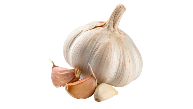 Whole fresh garlic bulb with cloves organic food item isolated on transparent background