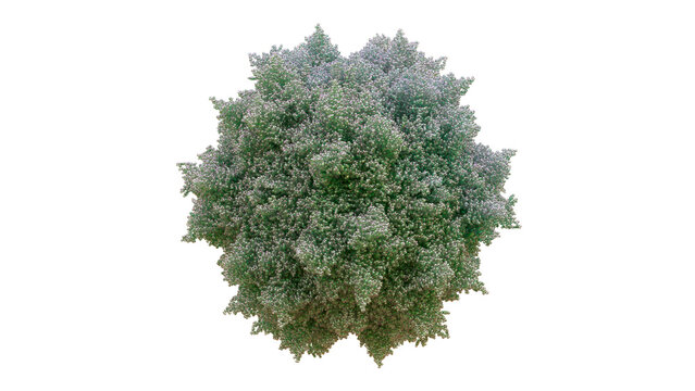 3D AAV6 Adeno-Associated Virus Serotype 6 capsid 60-mer Replication-defective Non-pathogenic Primarily for Airway Epithelium, Skeletal Muscle, and Hematopoietic Stem Cells HSCs Delivery Cryo-EM image.
